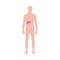 Human organs infographic - male body with liver, vector illustration isolated.