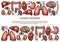 Human organs vector sketch body anatomy poster