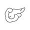 Human pancreas line icon. linear style sign for mobile concept and web design