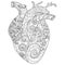 Human patterned heart for coloring book.