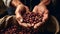 A human person hands holding coffee beans