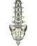 Human posterior lumbosacral spine