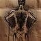 Human radiography scan with bones painted