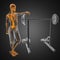 Human radiography scan in gym room