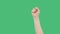 Human raised hand clenched in fist on green background. People rally on social revolution. National rebellion and