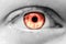 Human red eye macro