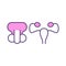 Human reproductive system RGB color icon