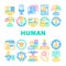 Human Resources Hr Department Icons Set Vector