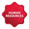 Human Resources misty rose red starburst sticker button