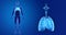 Human Respiratory System and Heart zoom with Skeleton Anterior view