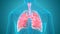 Human Respiratory System Lungs Anatomy Animation Concept