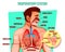 Human respiratory system vector illustration