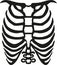 Human ribcage body