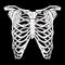 Human ribcage hand drawn line art anatomically correct. White over black background vector illustration. Print design for t-shirt