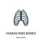 human ribs bones icon vector from body parts collection. Thin line human ribs bones outline icon vector illustration