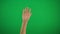 Human right palm raised up and move to right and left on green screen Alpha channel, keyed green screen.