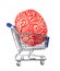 Human rubber brain in the shopping cart