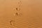 Human`s footprints on the wavy sand in desert