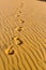 Human`s footprints on the wavy sand in desert