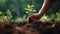 Human\\\'s hand planting single plant , plant\\\'s survival in the drought, Generative AI.