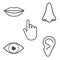Human senses icon. Vector illustration, flat design