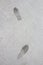 Human Shoe footprints in Concrete