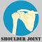 Human shoulder joint