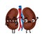 Human sick kidneys cartoon character