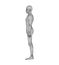 Human side view. Wireframe model with lines on white background