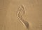 Human single footprint on the wet sand at the beach