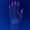 Human skeleton anatomy Distal Phalanges Bones 3D Rendering For Medical Concept