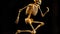 Human skeleton, black background isolate. Scientific body anatomy, medical exhibit. AI generated.