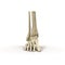 Human Skeleton Foot on White 3D Illustration