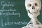 Human skeleton in front of school chalkboard