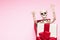 Human skeleton in a gift box on a pink background with copy space. Halloween gift concept