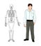 Human skeleton. Musculoskeletal system. Bones. Vector.