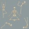 Human skeleton yoga positions pack