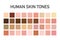 Human skin tone color palette set isolated on transparent background. Art design. Vector illustration.