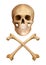 Human Skull With Crossed Bones