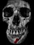 Human Skull terrific black and white photography, scary death portrait
