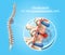 Human Spine Disease Vector Anatomical Infographic