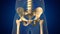 Human spine with pelvis medical background