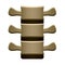 Human spine vertebrae front view