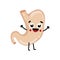 Human stomach cute cartoon character