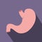 Human stomach flat icon