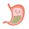 Human stomach. Nausea, vomiting, heartburn, gastritis and acid reflux and stomach pain problems. Vector flat cartoon