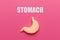 Human stomach on a pink background. Treatment of pain and inflammation. Symptom of gastritis and heartburn