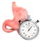 Human stomach with stopwatch. First aid and treatment of stomach concept, 3D rendering