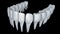 Human Teeth 3d animation.