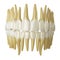 Human teeth on white.